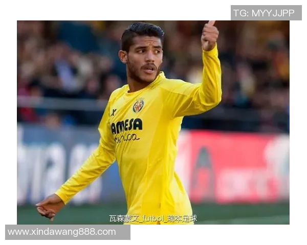 巴拉圭足球明星的辉煌历程与传奇故事探秘